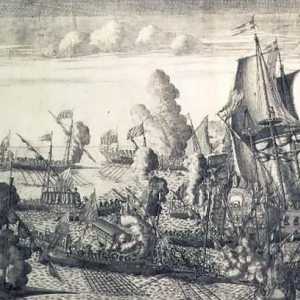Морската битка при нос Гангут (1714 г.)