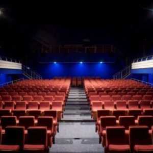 Московски театър на младите зрители (Царицо): репертоар, рецензии, закупуване на билети