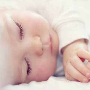 Възможно ли е новороденото да спи на стомаха след хранене? Възможно ли е новороденото да спи на…