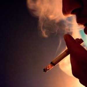 Възможно ли е да пушите пушенето? Строги бързи правила