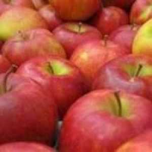 Възможно ли е да замръзнете ябълките за зимата, така че да са вкусни и консервирани витамини