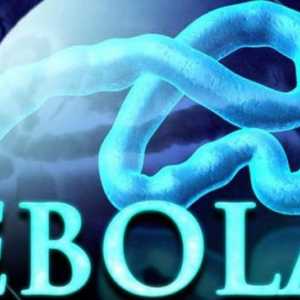Мога ли да получа треската на Ебола чрез банани и други внесени продукти?