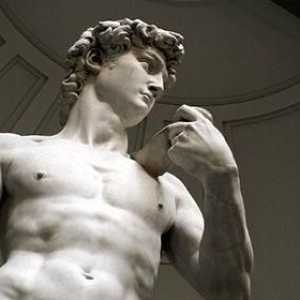 Мрамор Дейвид. Микеланджело и неговото творение