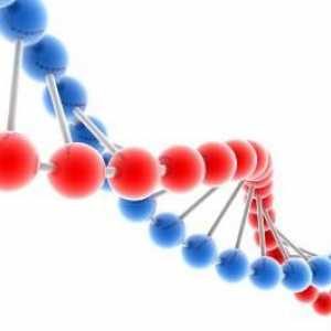 Многофакторни заболявания, тяхната генетика и разпространение