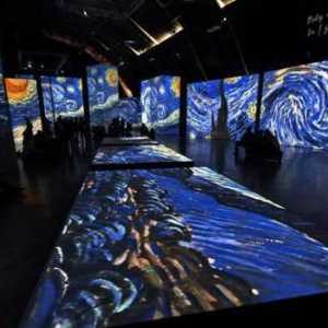 Мултимедийна изложба "Живи платна на Ван Гог": характеристики, препоръки на посетителите