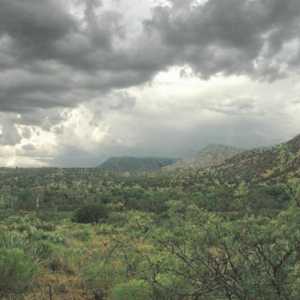 Monsoon климат: характеристики и география