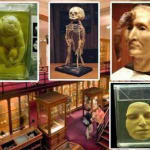 Музей на медицинската история Mutter, Пенсилвания: история, експонати, снимки