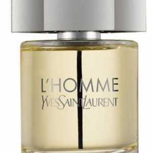 Мъжки парфюм Yves Saint Laurent: преглед на линията L`Homme