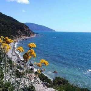 Cape Martyan - природен резерват на южния бряг на Крим. Снимки и ревюта на туристи.