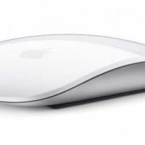 Мишка Apple Magic Mouse: рецензии. Как да се свържем с Apple Magic Mouse?