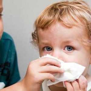 Народни лекове за деца от обикновена настинка. Лечение на настинка в домашни условия с народни…