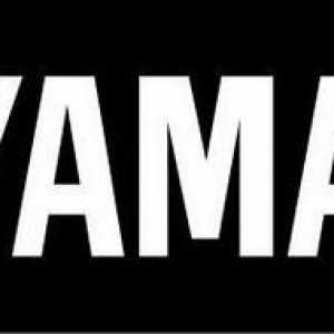 Слушалки Yamaha EPH-100: преглед, описание, функции и прегледи на собствениците