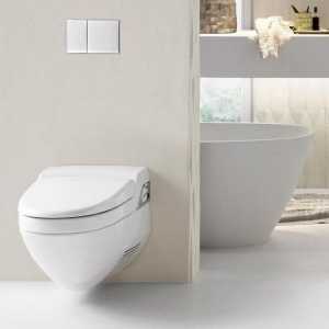 Окачена тоалетна чиния: модели, размери, монтаж. Ремонт на шарнирна тоалетна чиния
