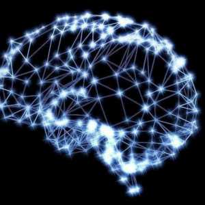 Невронна мрежа е какво? Определение, значение и обхват
