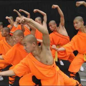 Необичайно и непредсказуемо изпълнение на филма "Шаолински монаси"