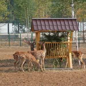Има няколко причини да посетите зоологическата градина Ярославл