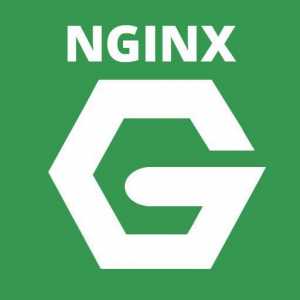 Nginx: настройка и инсталиране