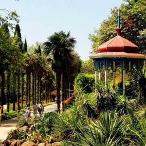 Ботаническата градина на Никитски, Ялта