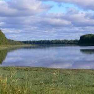 Резерват Нижнишвирски - опазване на природното наследство