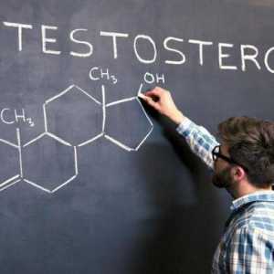 Ниски нива на тестостерон при мъжете: симптоми, лечение, последици
