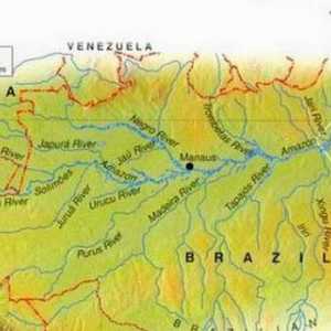Lowland Amazon: координати, описание