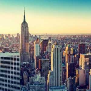 Ню Йорк е най-големият град в САЩ