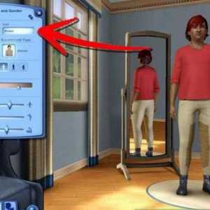 Новини за популярната игра. Създаване на символи "The Sims 3"