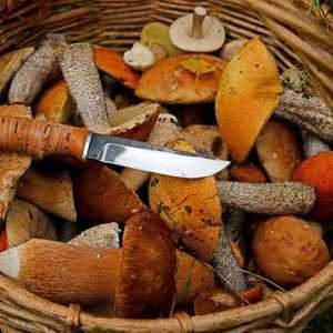 Нож "Mushroomer" - верен помощник в гората