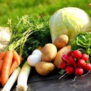 Хранителните вещества са биологично значими елементи. Съвременни хранителни вещества: описание,…