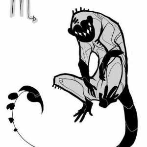 Маймунка-Скорпион (жена и мъж): характеристика, съвместимост