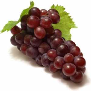 Преработка на грозде през есента от болести. Какво да преработим гроздето през есента?