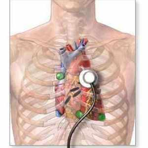 Изследване на сърцето. Ултразвук на сърцето: какво показва? Методи за изследване на сърцето