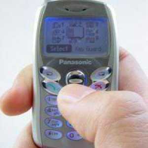 Преглед на миниатюрен телефон Panasonic GD55