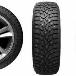 Преглед на гумите Dunlop Grandtrek ICE 02