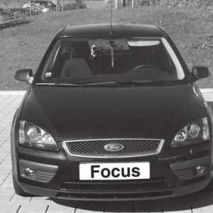 Много важен детайл за Ford Focus 2 е салонният филтър. Тя трябва да се подменя редовно