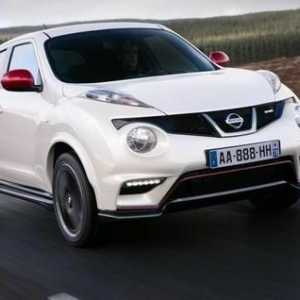 Друго попълване в линията на Nissan: технически характеристики на Nissan Beetle, неговия дизайн и…