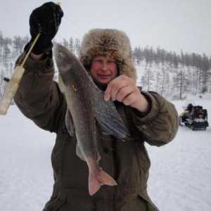 Лов и риболов в Сибир: основните характеристики