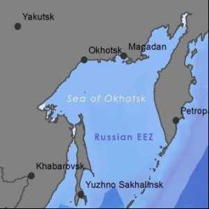 Моско Охотск: екологични проблеми и начини за тяхното решаване