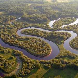 Резерват "Ока" в региона на Рязан - описание и снимка
