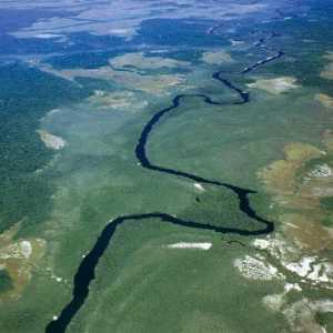Описание, характеристики, снимка на река Ориноко