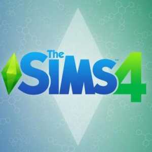 Описание на играта "The Sims 4". Как да промените езика от английски на руски