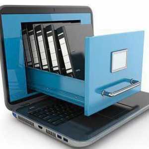 Опишете файловата система за съхранение на диска. Организиране на файловата система