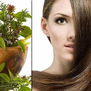 Изплакване на косата с билки: тайните на красивата прическа
