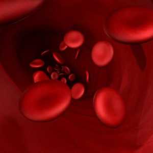 Определяне на кръвната група на детето от кръвта на родителите - защо е необходимо?
