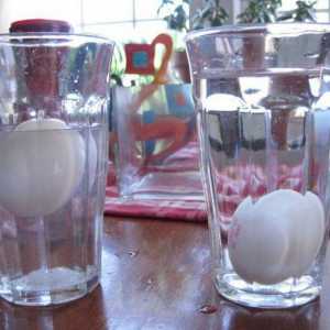 Опитът с яйцето у дома: интересни идеи и описание