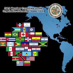 Организация на американските държави (OAS)