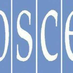 Организация за сигурност и сътрудничество в Европа (ОССЕ): структура, цели