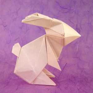 Оригами "Бъни" и модулен заек. схеми