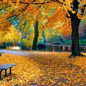 Есенна фотосесия в парка: идеи, пози