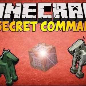 Основните команди на частния в Minecraft